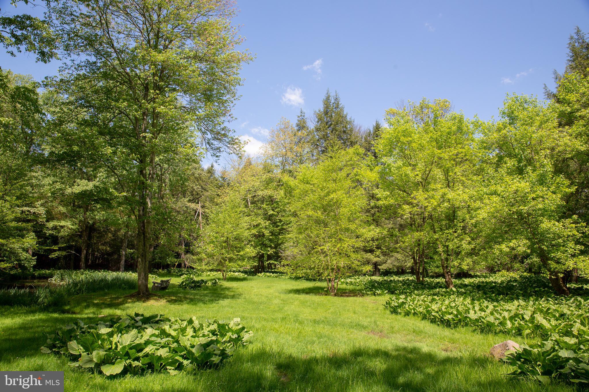 3705 Aquetong Road Carversville, PA 18913 - Photo 50 of 53 Pond