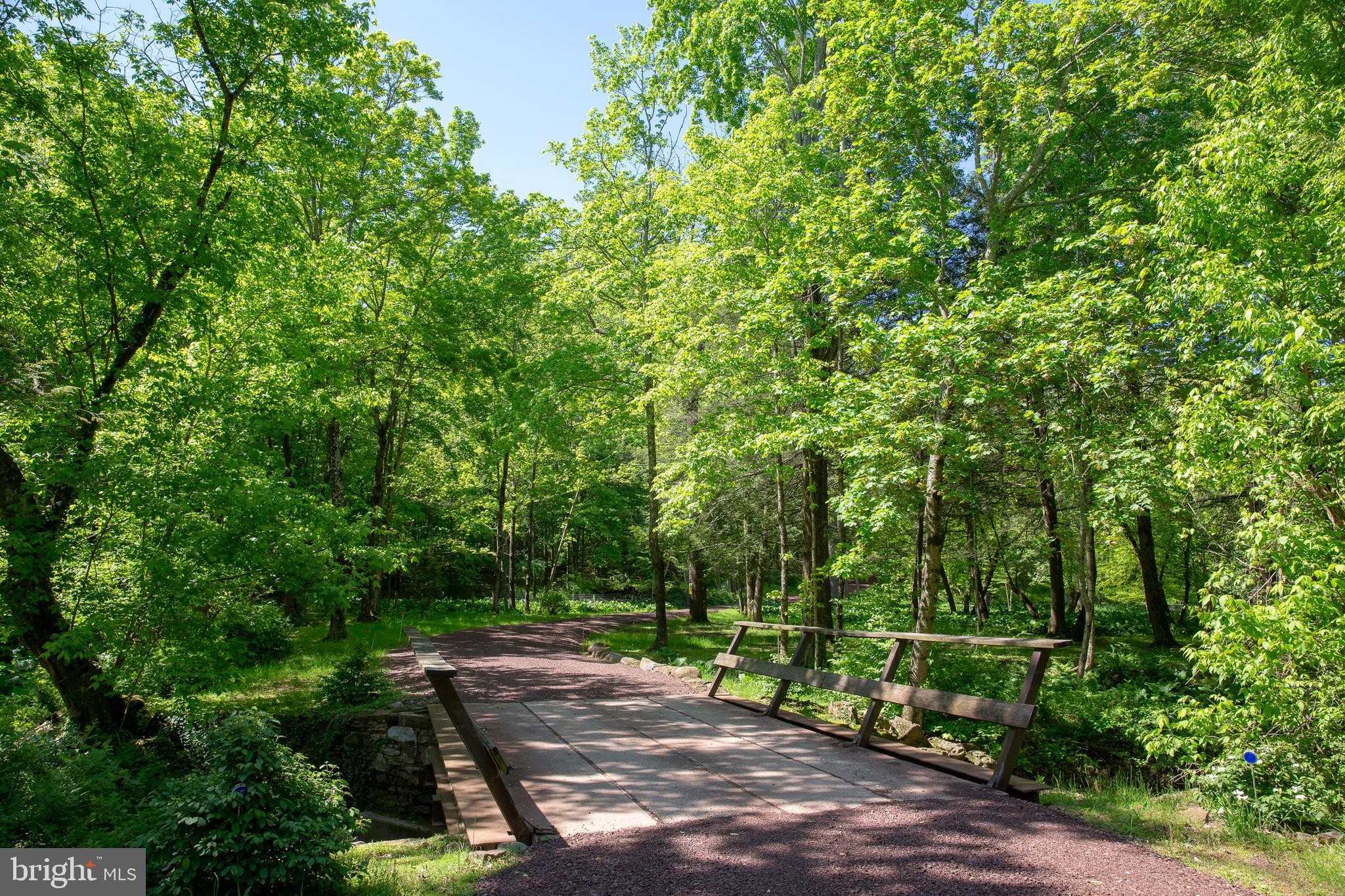 3705 Aquetong Road Carversville, PA 18913 - Photo 6 of 53 Newly Constructed Bridge