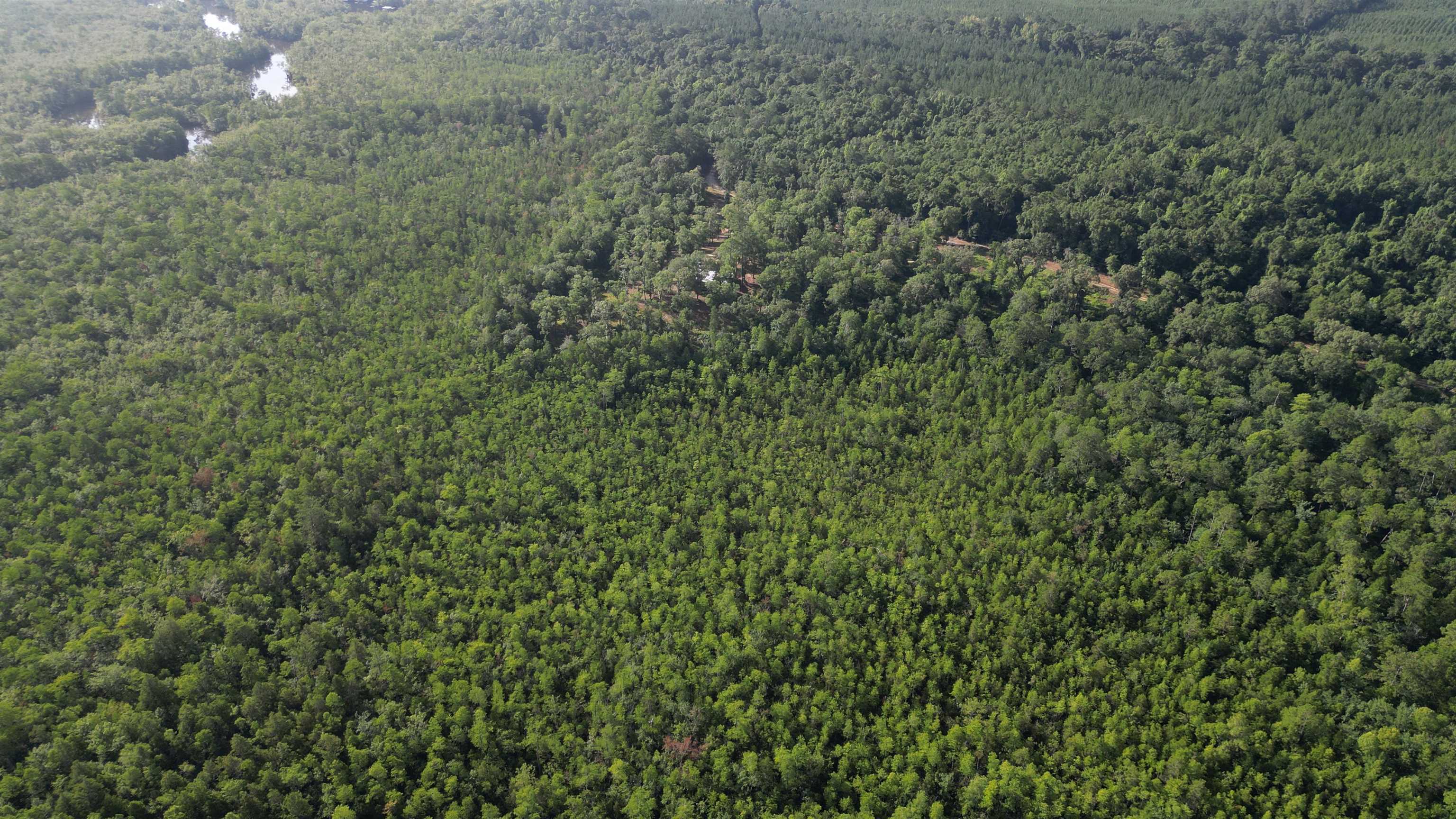 1050 Cedar Creek Landing Road Mount Vernon, AL 36560 - Photo 59 of 59 Aerial View