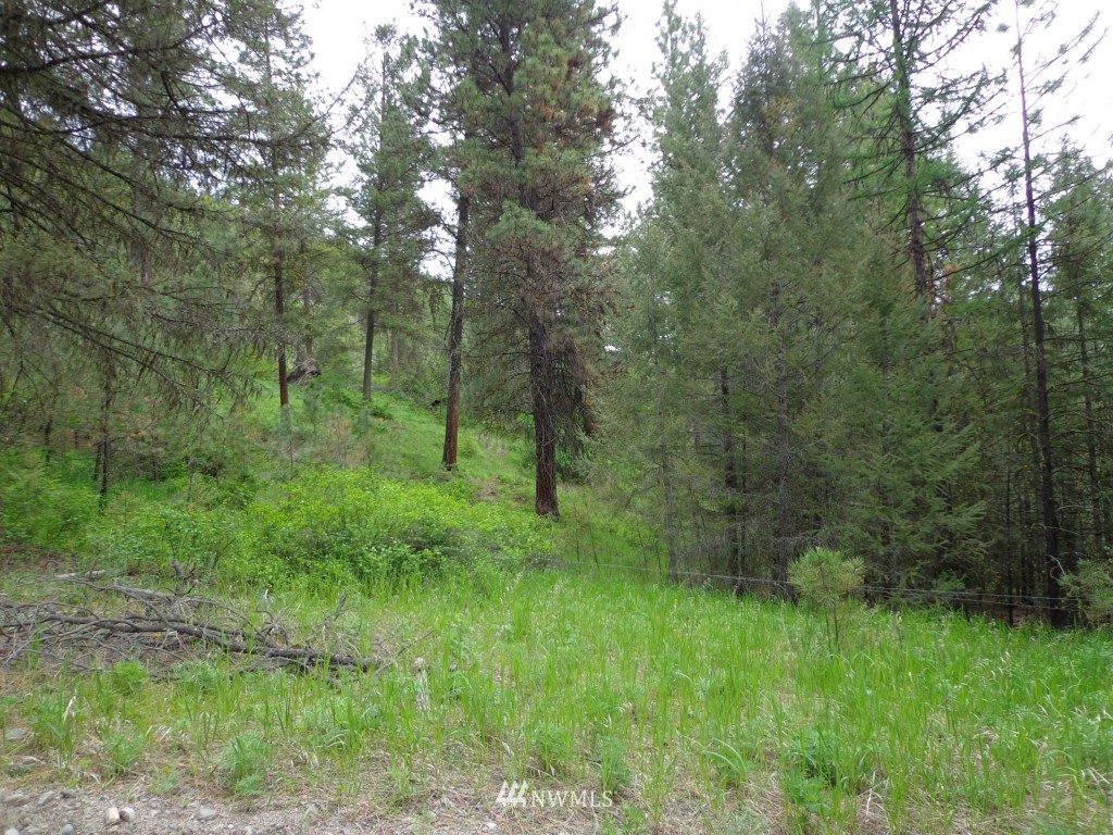 17 Woods Road Republic, WA 99166 - Photo 12 of 18