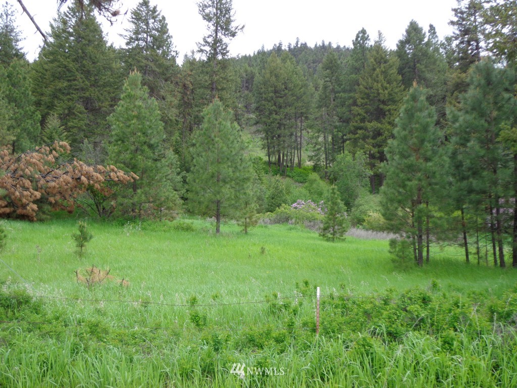 17 Woods Road Republic, WA 99166 - Photo 13 of 18