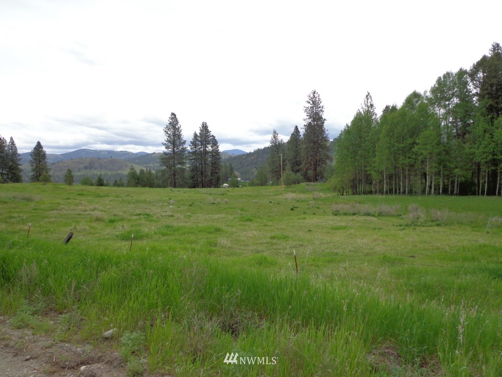 17 Woods Road Republic, WA 99166 - Photo 14 of 18