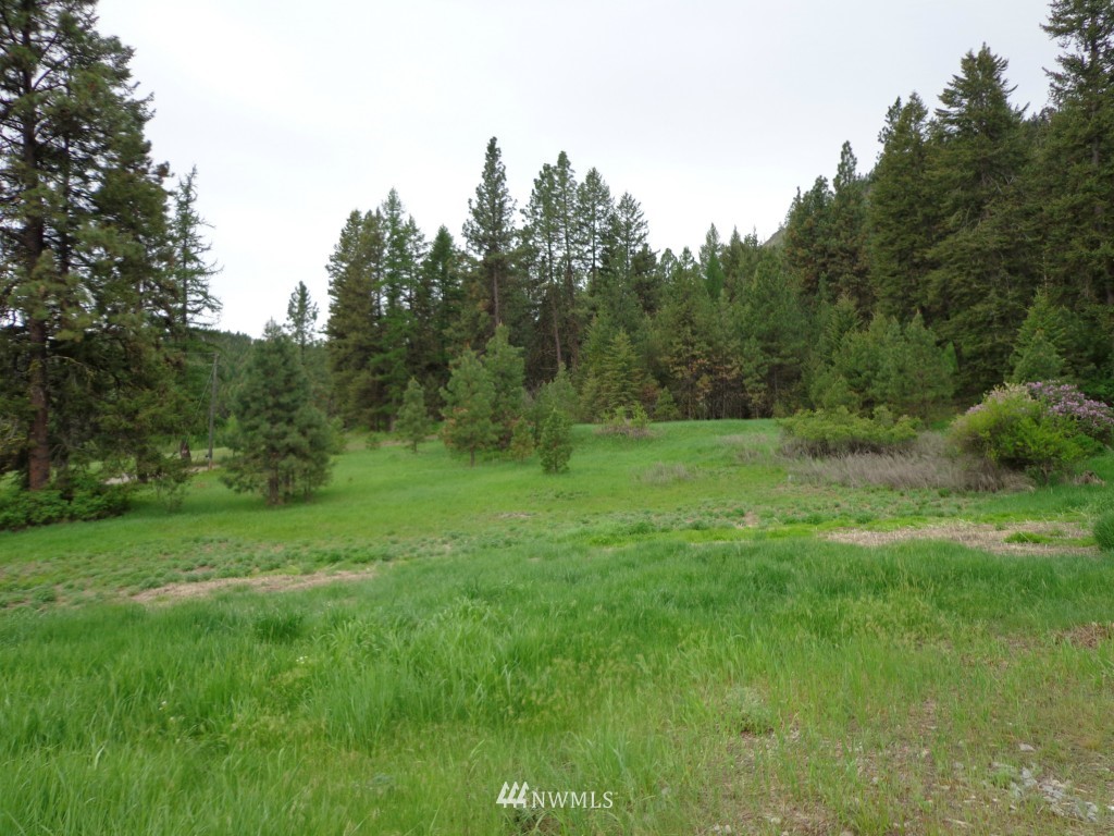 17 Woods Road Republic, WA 99166 - Photo 5 of 18