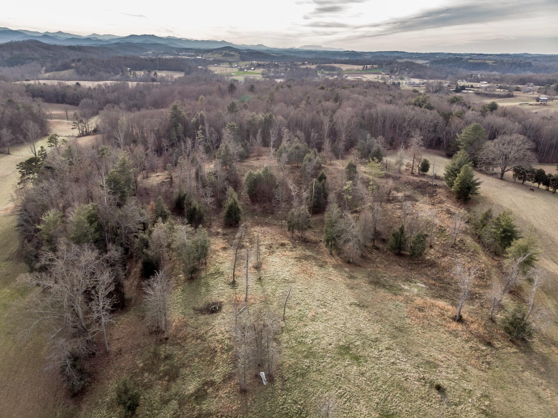 550 Calico Road Afton, TN 37616 - Photo 36 of 66 CalicoRdA_024