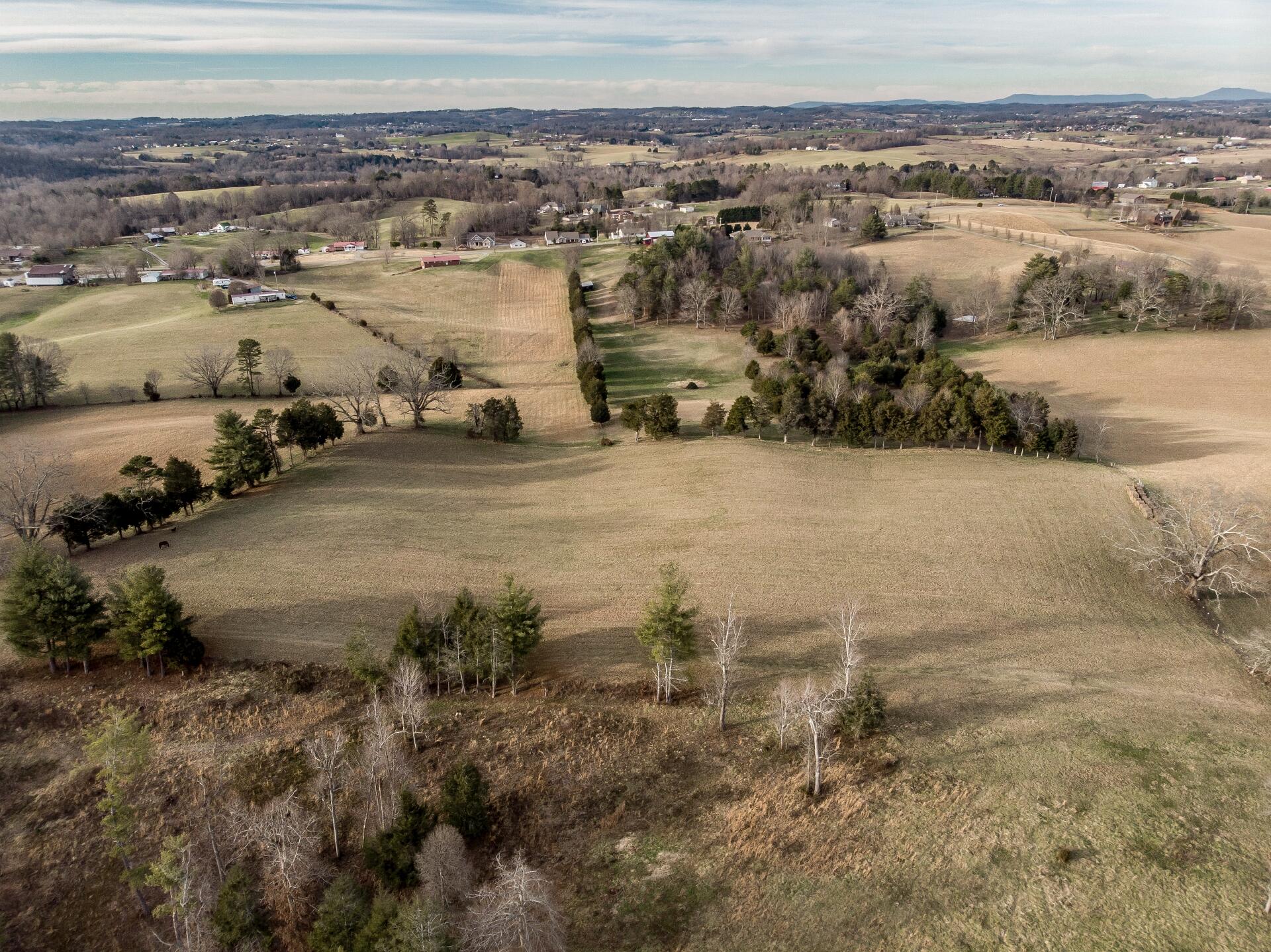 550 Calico Road Afton, TN 37616 - Photo 38 of 66 CalicoRdA_026