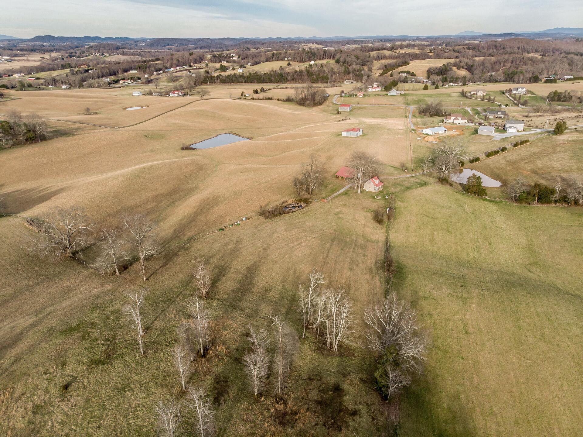 550 Calico Road Afton, TN 37616 - Photo 39 of 66 CalicoRdA_027