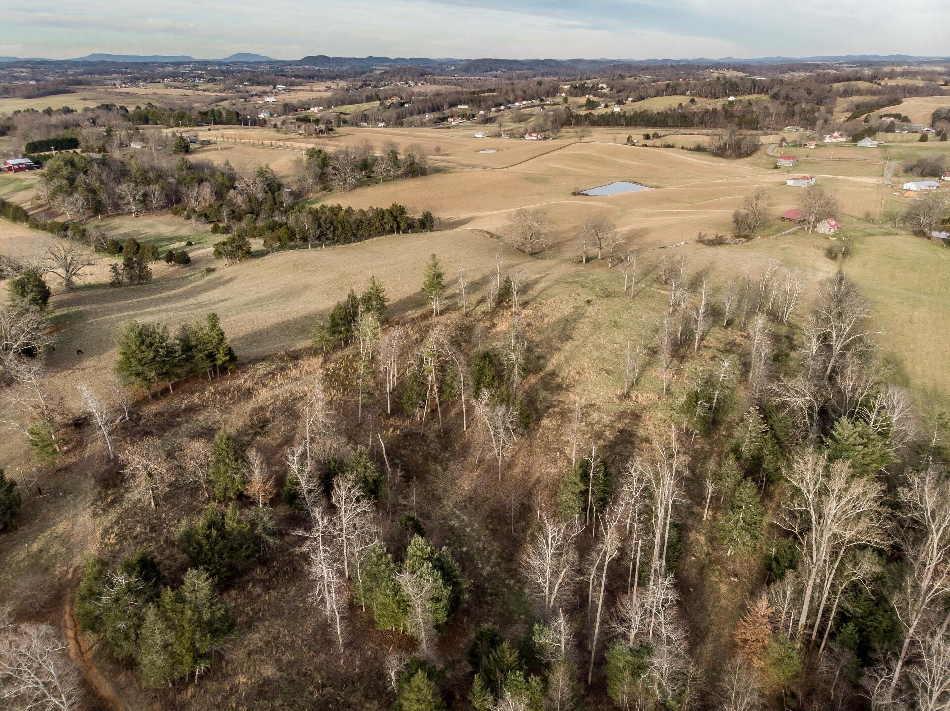 550 Calico Road Afton, TN 37616 - Photo 41 of 66 CalicoRdA_029