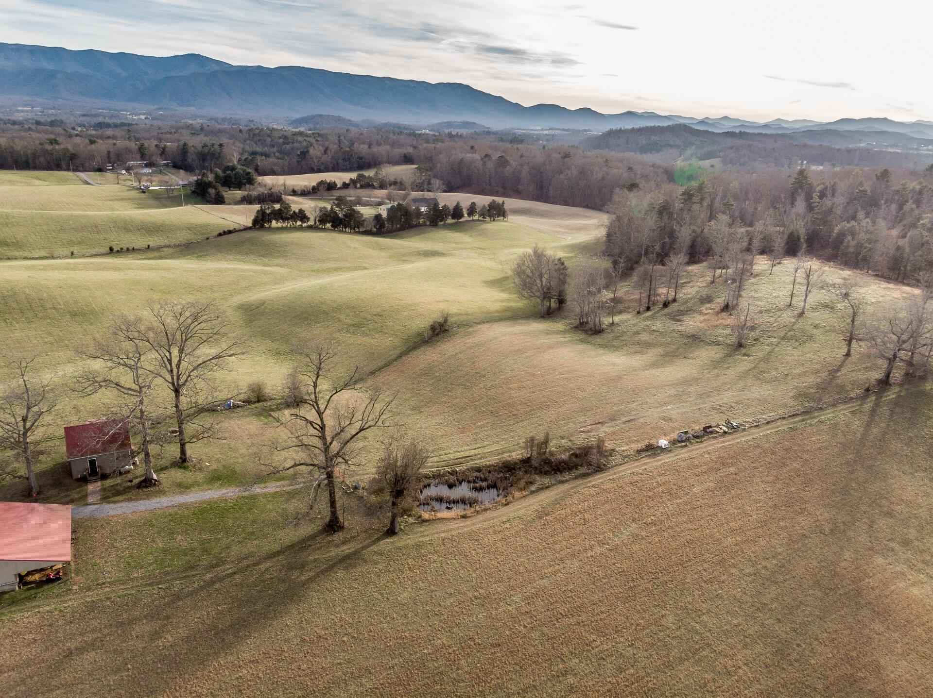 550 Calico Road Afton, TN 37616 - Photo 49 of 66 CalicoRdA_037