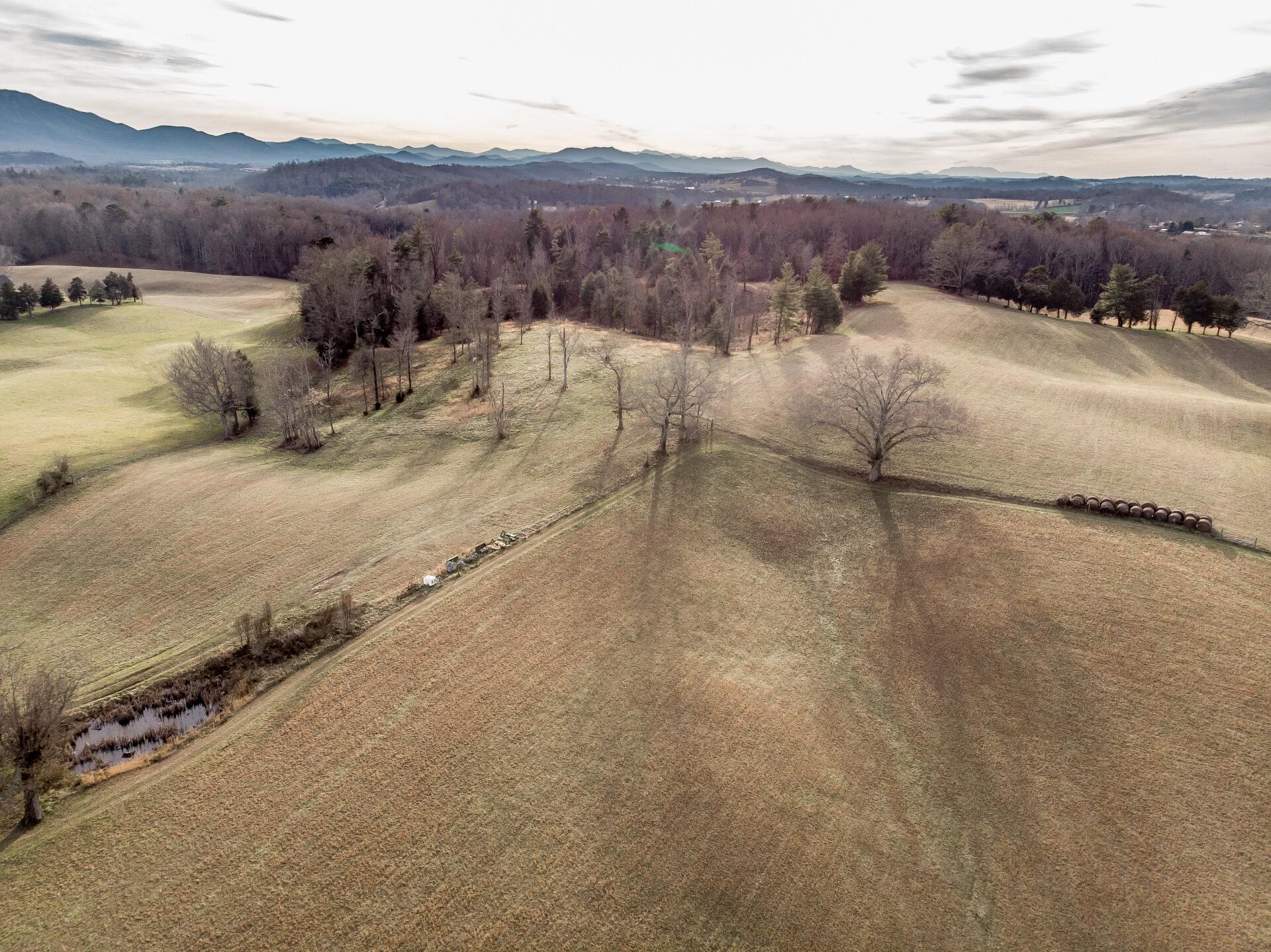 550 Calico Road Afton, TN 37616 - Photo 50 of 66 CalicoRdA_038