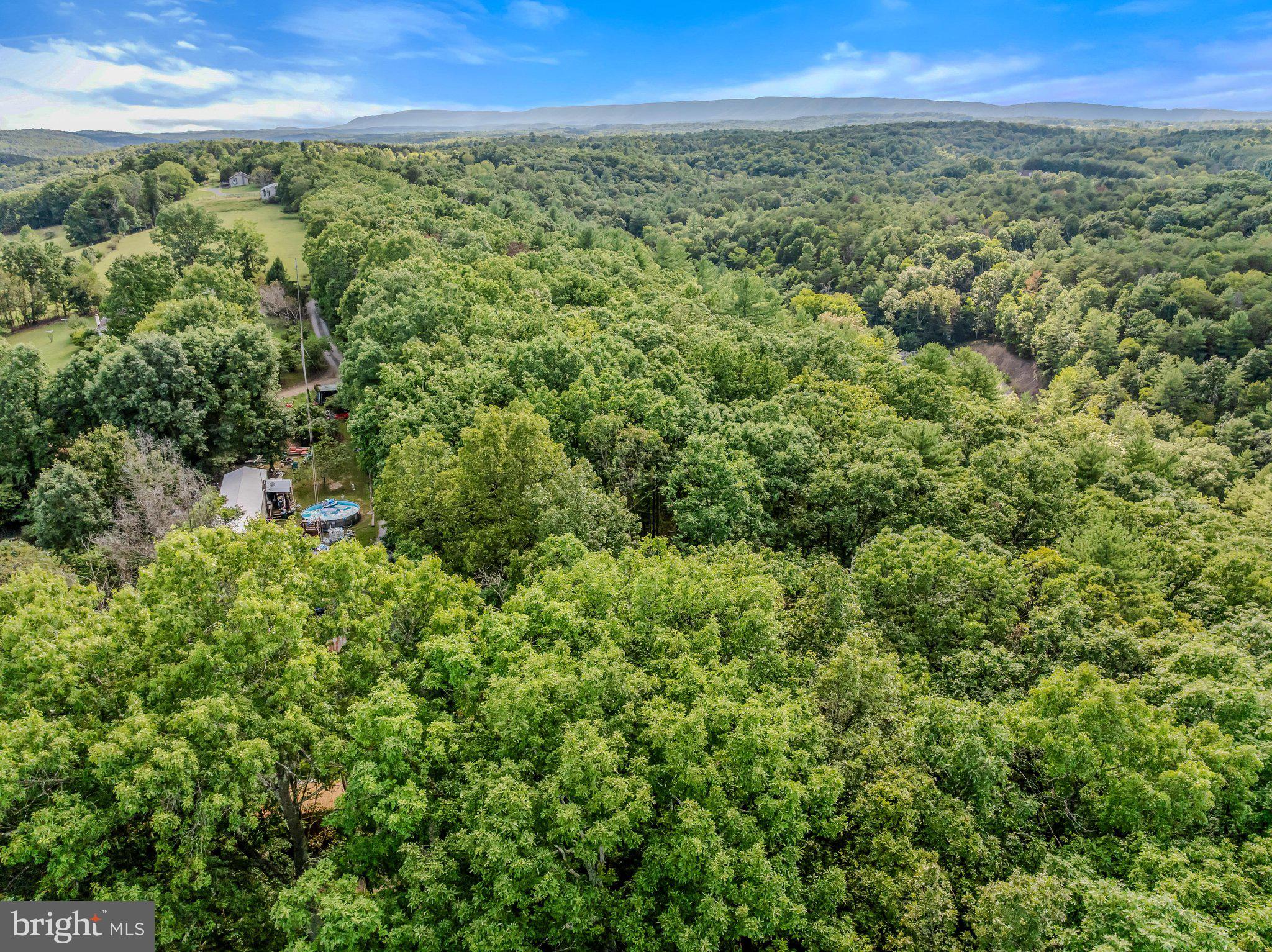 1787 Spohrs Road Berkeley Springs, WV 25411 - Photo 46 of 49 Aerial View