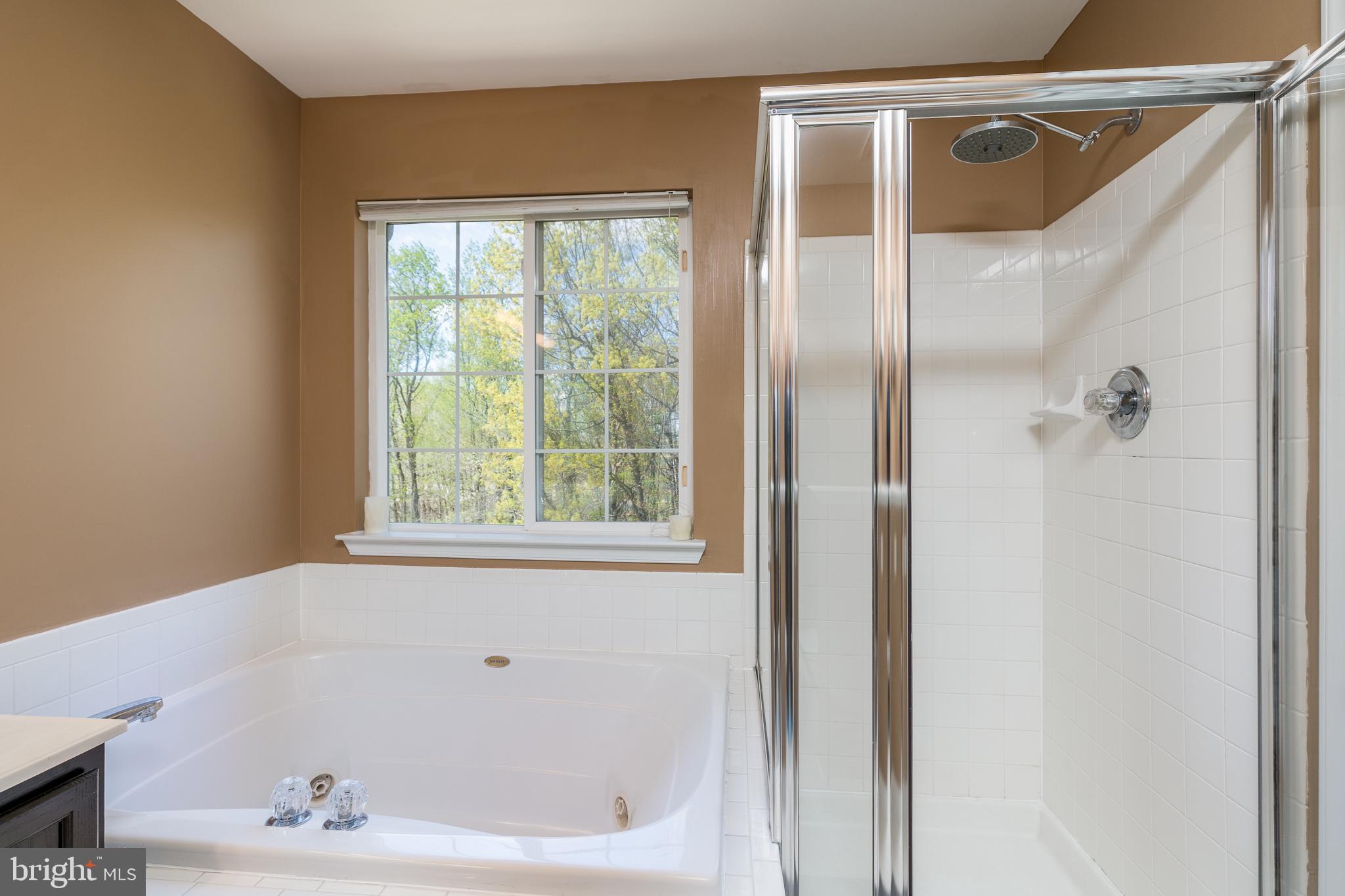2716 Summers Ridge Drive Odenton, MD 21113 - Photo 21 of 42 Master Bathroom (alt view)