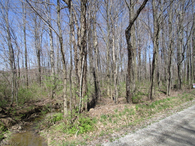 17230 Moseley Road Thompson, OH 44086 - Photo 2 of 12