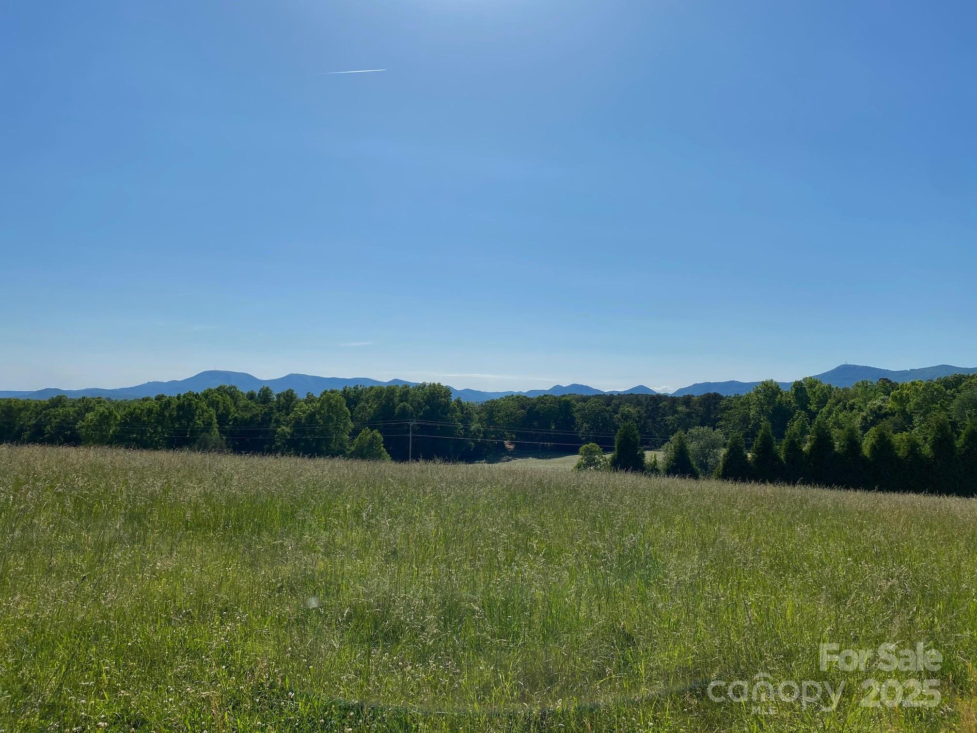 Tbd Golf Course Road Tryon, NC 28782 - Photo 3 of 13 a view of a field with grass and trees in the background
