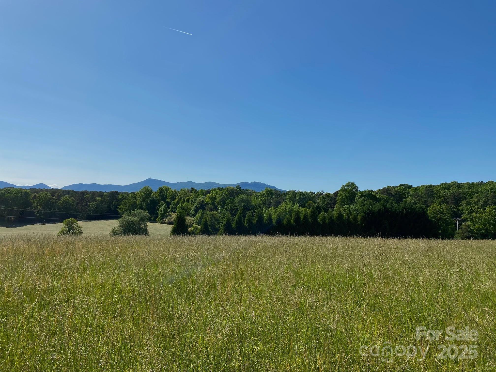 Tbd Golf Course Road Tryon, NC 28782 - Photo 4 of 13 a view of lake and mountain view