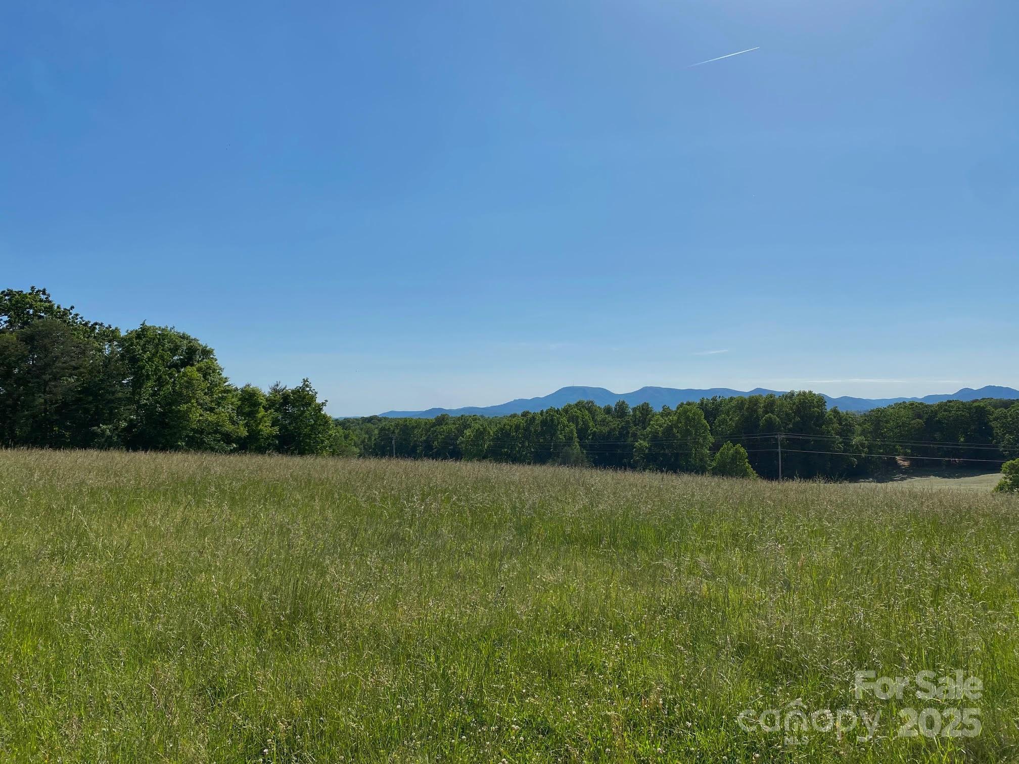 Tbd Golf Course Road Tryon, NC 28782 - Photo 6 of 13 a view of outdoor space and mountain view