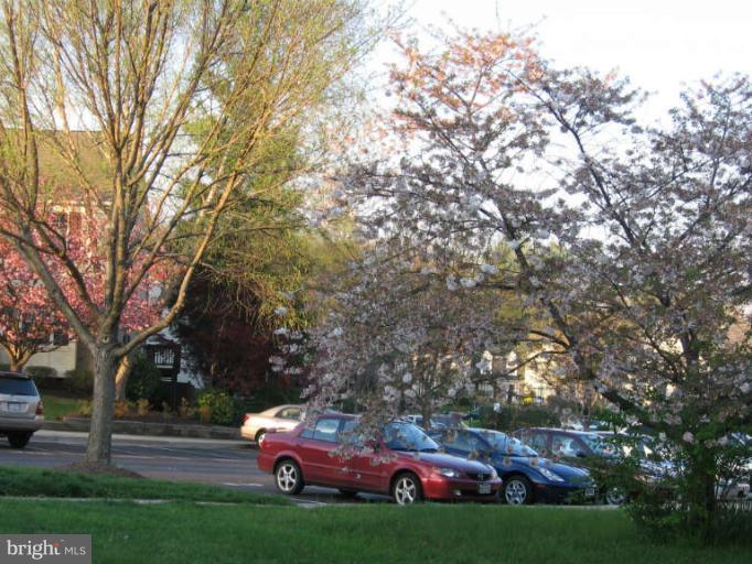 15003 Shamrock Ridge Road Silver Spring, MD 20906 - Photo 20 of 22 Street View