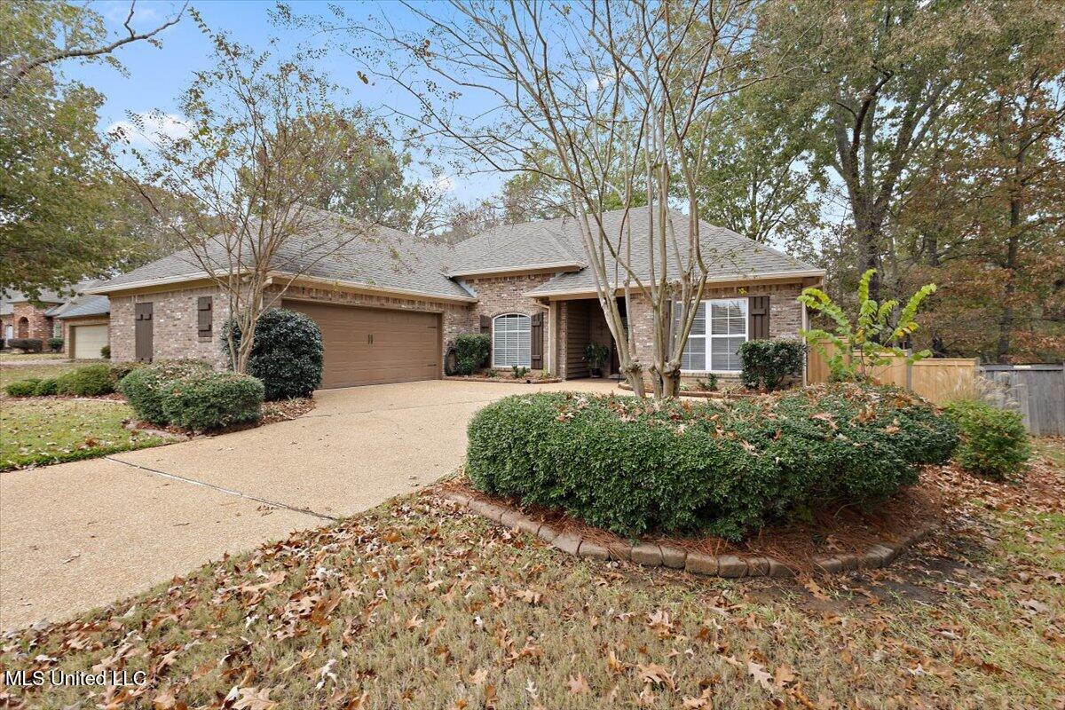 125 Seville Way Madison, MS 39110 - Photo 5 of 29 03-HTP_4483