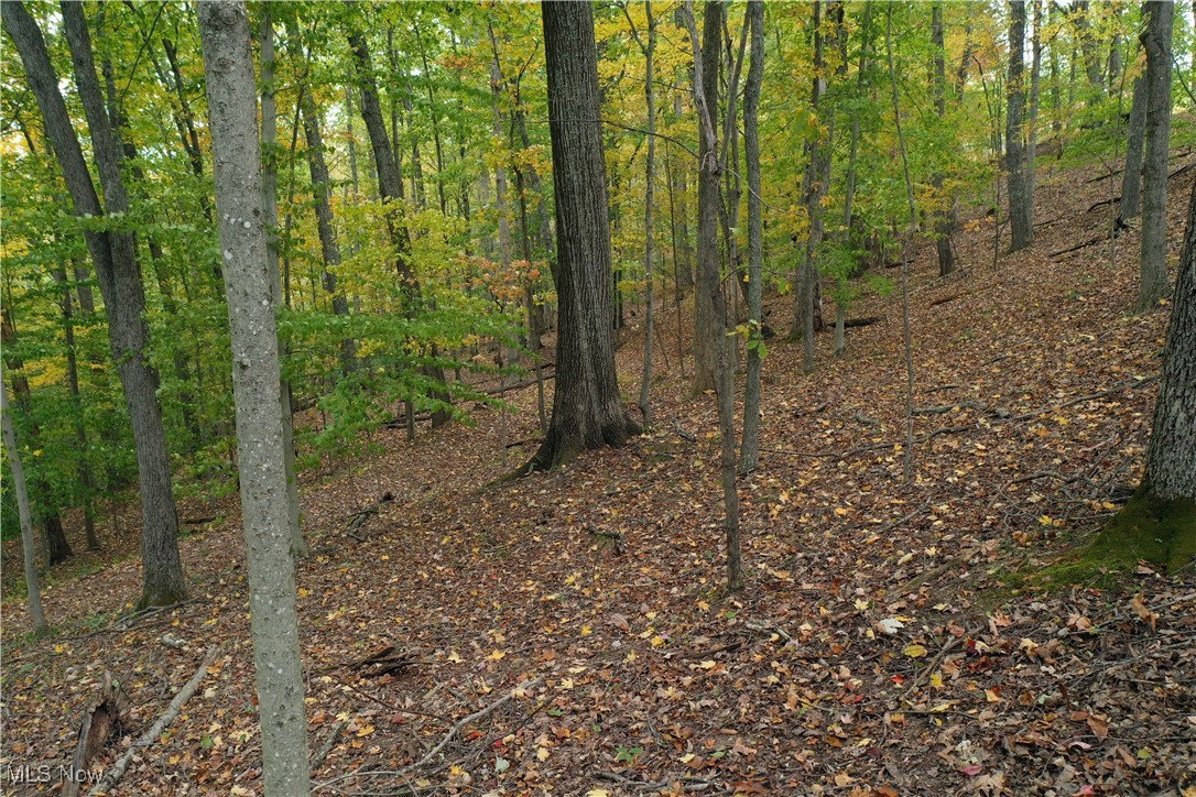731 Riffle Run Road Grantsville, WV 26147 - Photo 24 of 30