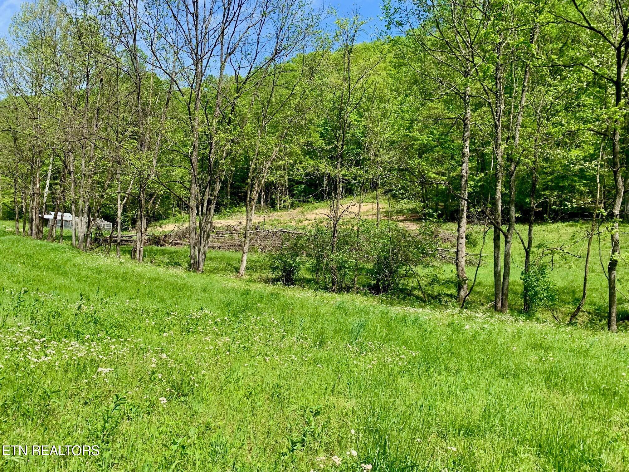 1088 Jones Ridge Road Speedwell, TN 37870 - Photo 48 of 53 13