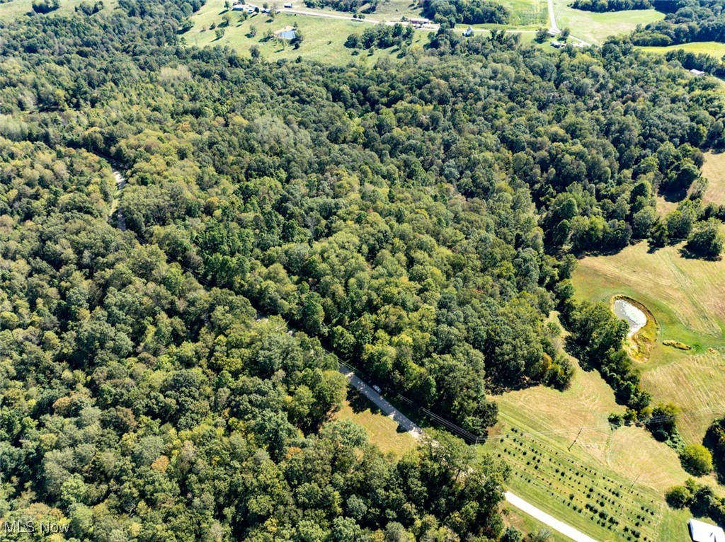 Lot 2 Shinn Road Stockport, OH 43787 - Photo 3 of 17 Bird's eye view