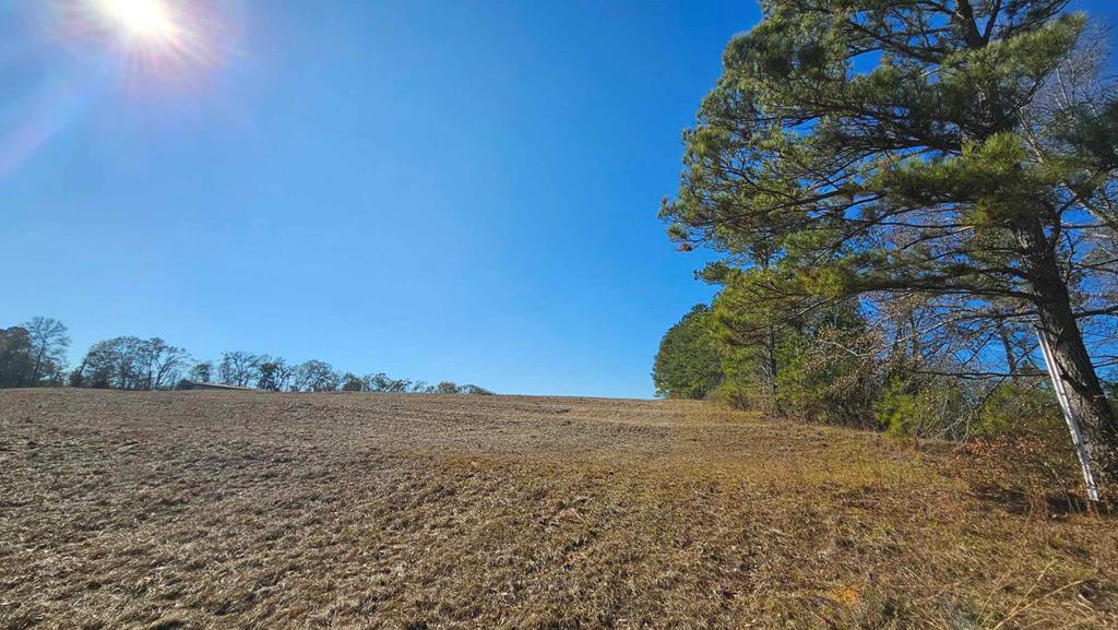 24.6-acres Grant Road Slocomb, AL 36375 - Photo 5 of 17