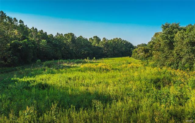 0 Spankey Road Carrollton, IL 62016 - Photo 14 of 32