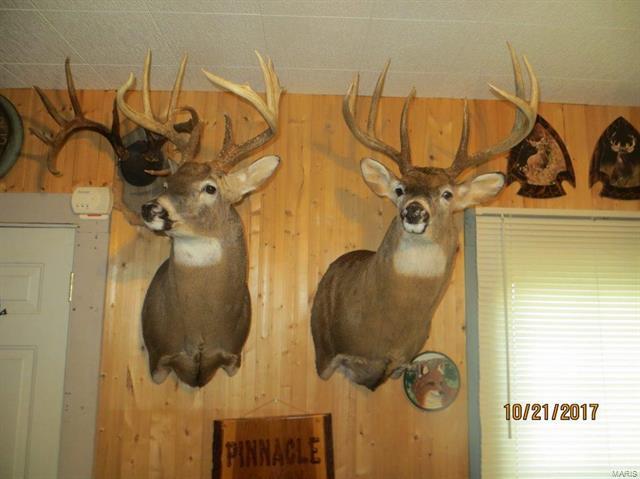 0 Spankey Road Carrollton, IL 62016 - Photo 28 of 32