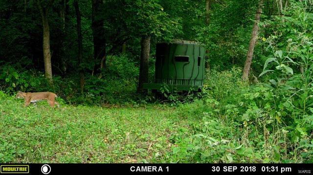 0 Spankey Road Carrollton, IL 62016 - Photo 29 of 32