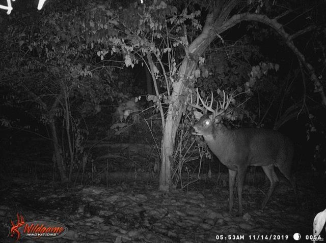 0 Spankey Road Carrollton, IL 62016 - Photo 31 of 32