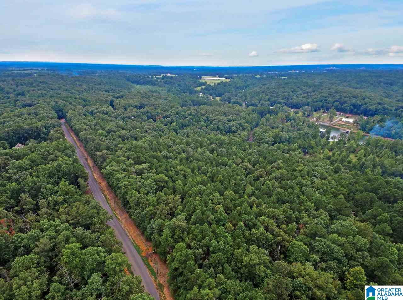 0 Harbor Light Trail, Unit 1 Jasper, AL 35504 - Photo 7 of 22