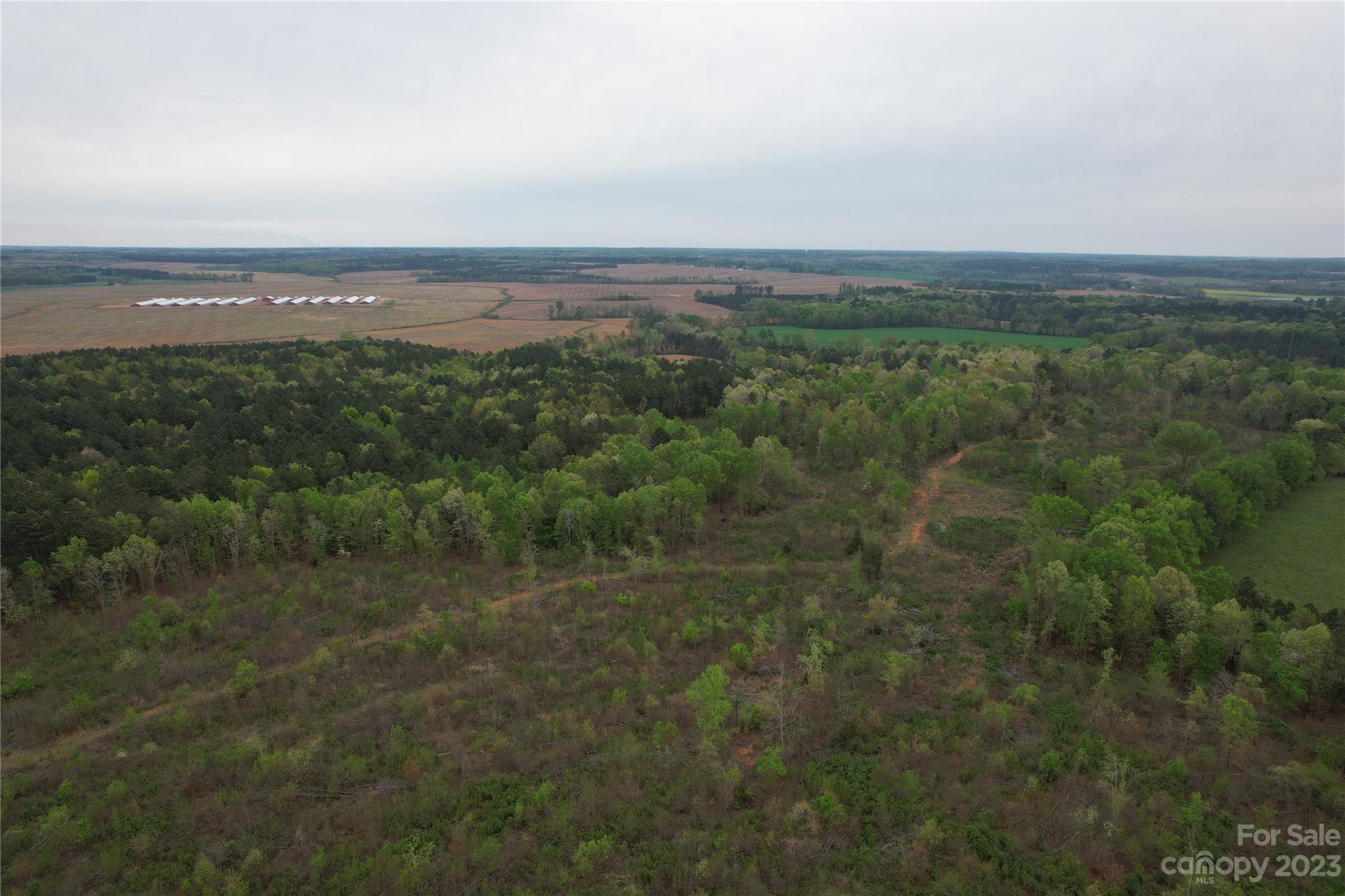 0 Mills Road Marshville, NC 28103 - Photo 16 of 17 Gallery Image 16