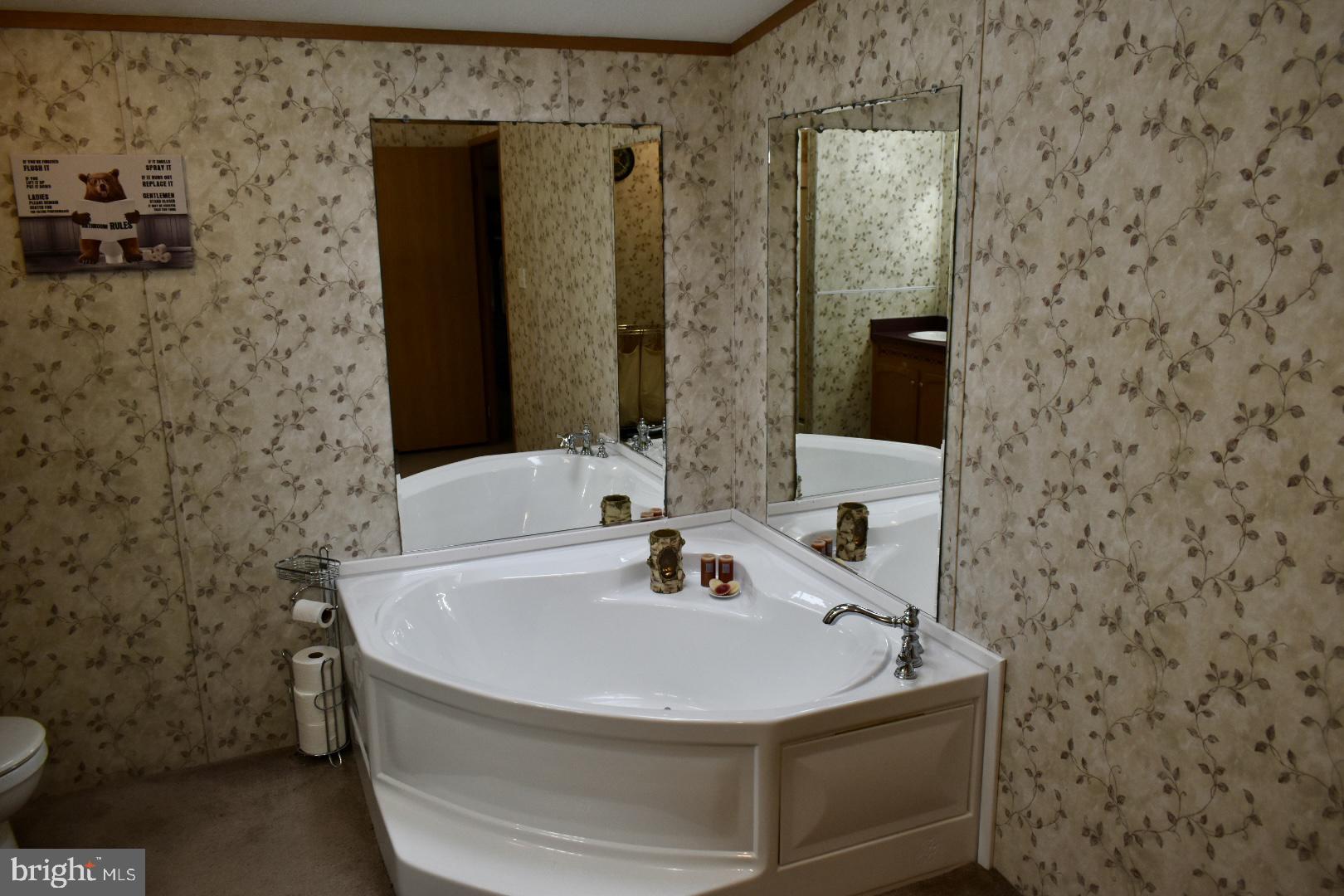 38 Broadwing Drive Hanover, PA 17331 - Photo 17 of 37 a bathroom with a sink and a mirror