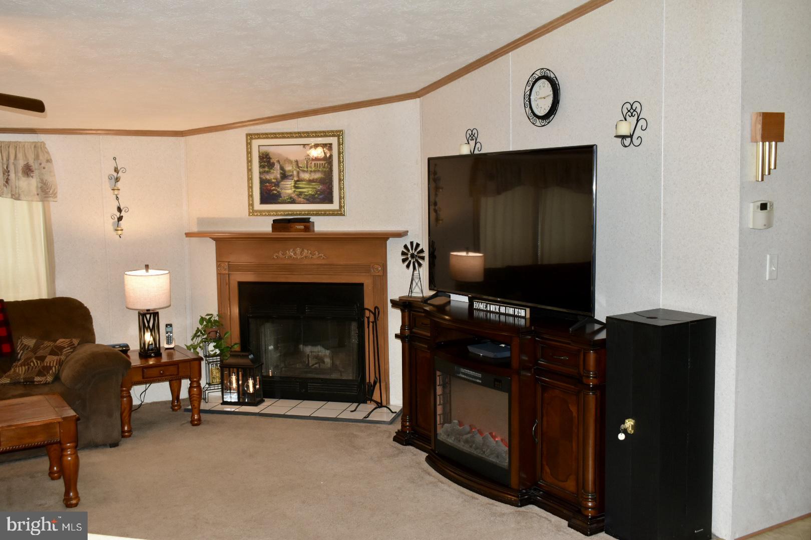 38 Broadwing Drive Hanover, PA 17331 - Photo 8 of 37 a living room with furniture and a fireplace