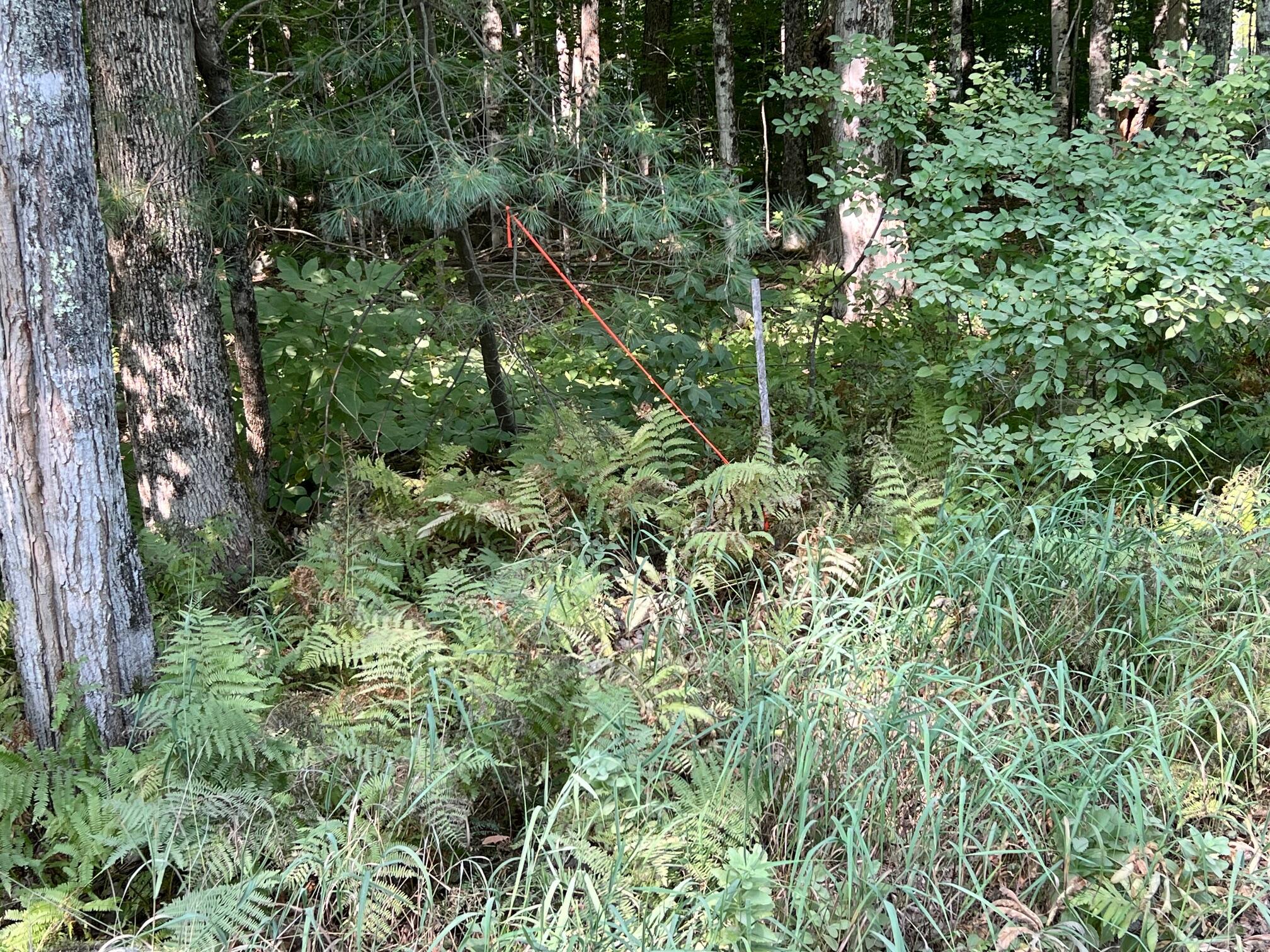 7 Map Road Cambridge, ME 04923 - Photo 5 of 6 IMG_5115