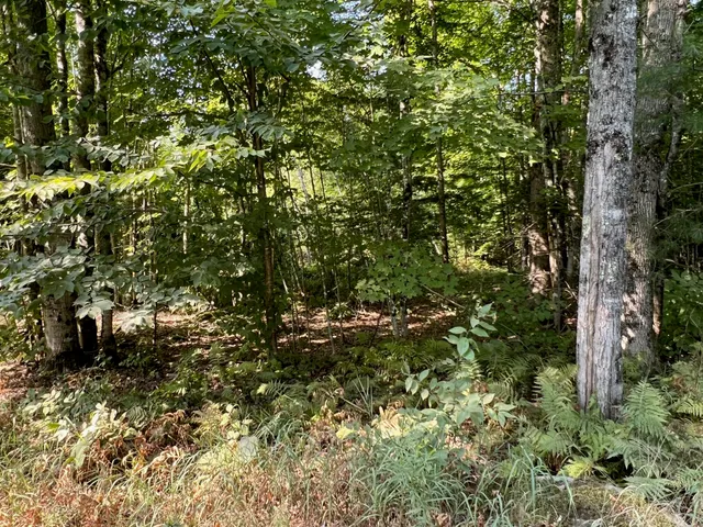 $27,500 | 7 Map Road, Cambridge, ME 04923