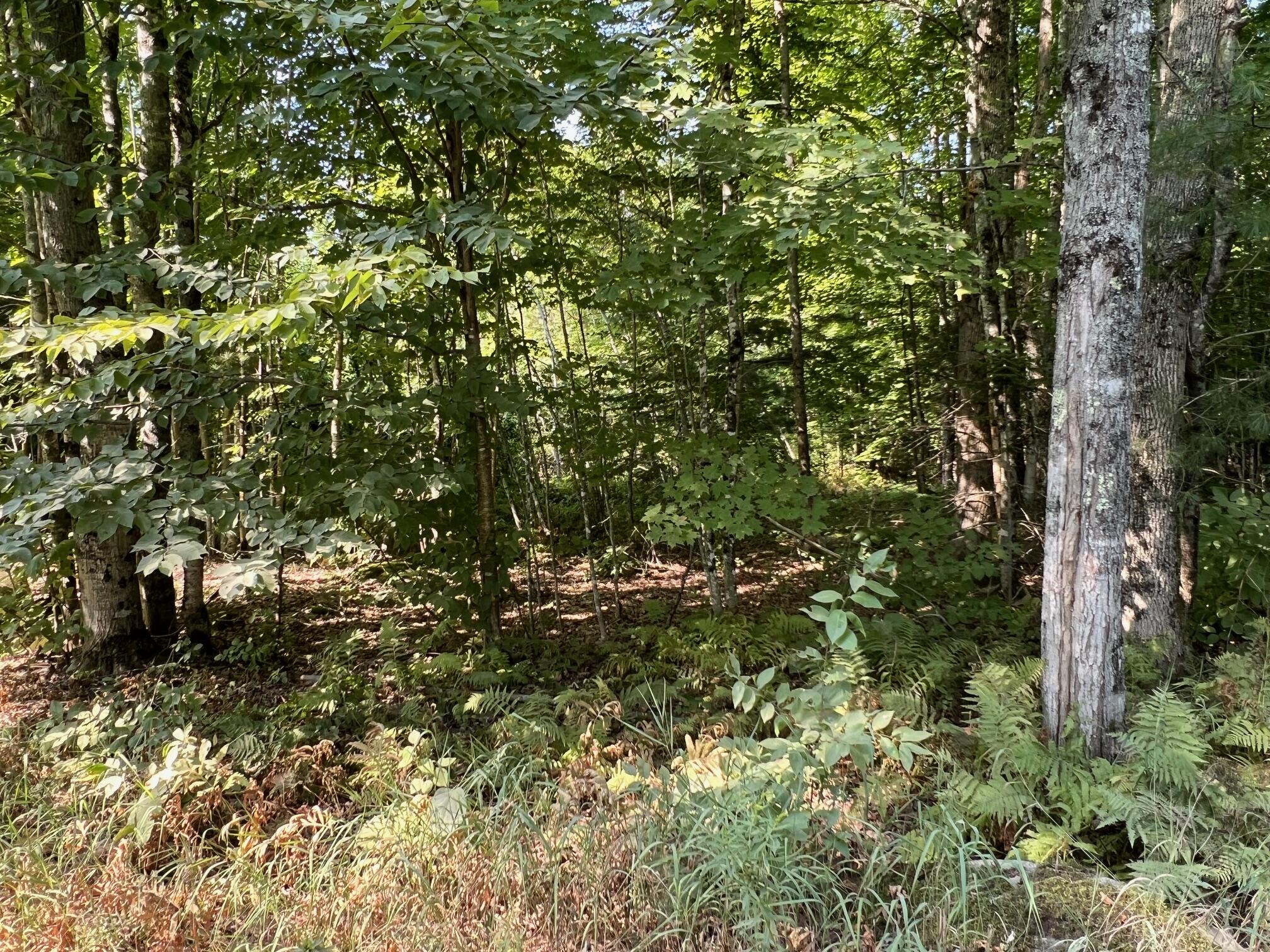 7 Map Road Cambridge, ME 04923 - Photo 6 of 6 IMG_5116