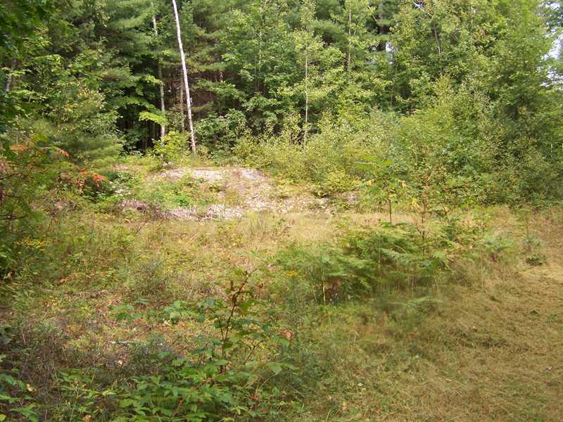 279 Shady Nook Road Newfield, ME 04095 - Photo 6 of 14 Land.