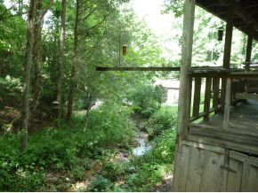 2189 Rice Creek Road Flag Pond, TN 37657 - Photo 6 of 12 View of Creek from Deck