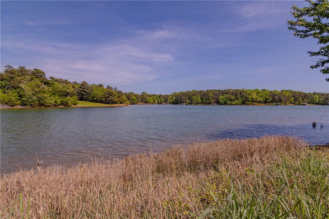 129 Sunset Point Road Anderson, SC 29626 - Photo 23 of 50