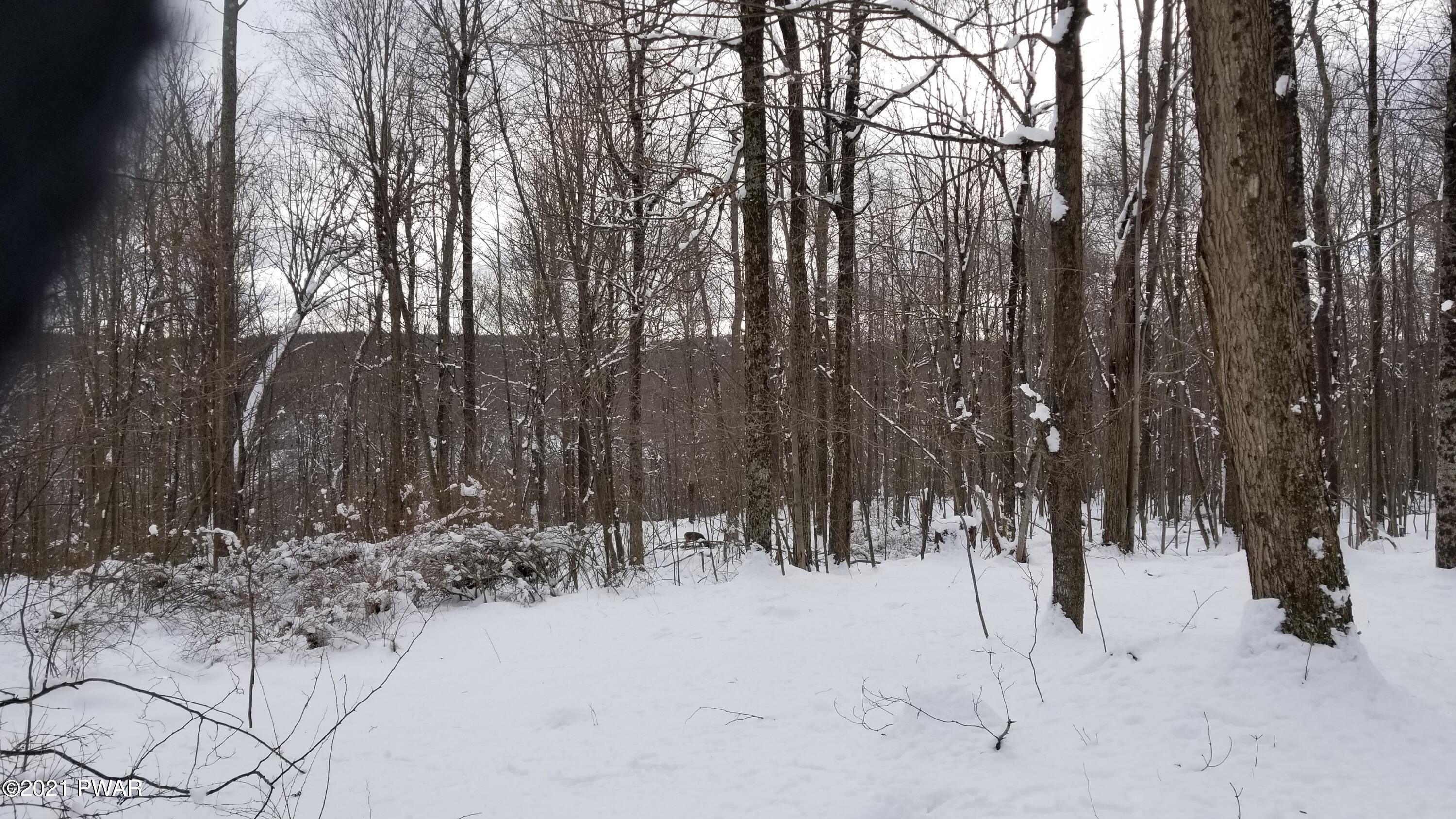 Lot 63 Old Woods Road Equinunk, PA 18417 - Photo 5 of 63