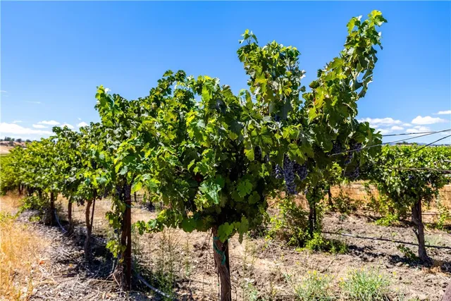 $1,950,000 | 4617 Hog Canyon Road, San Miguel, CA 93451