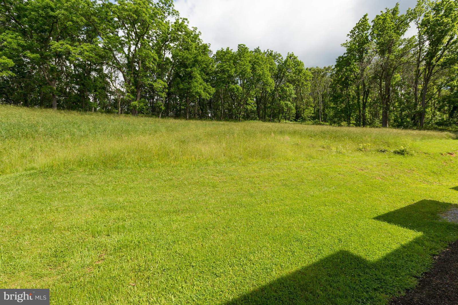 3878 Back Mountain Road Winchester, VA 22602 - Photo 24 of 30 View