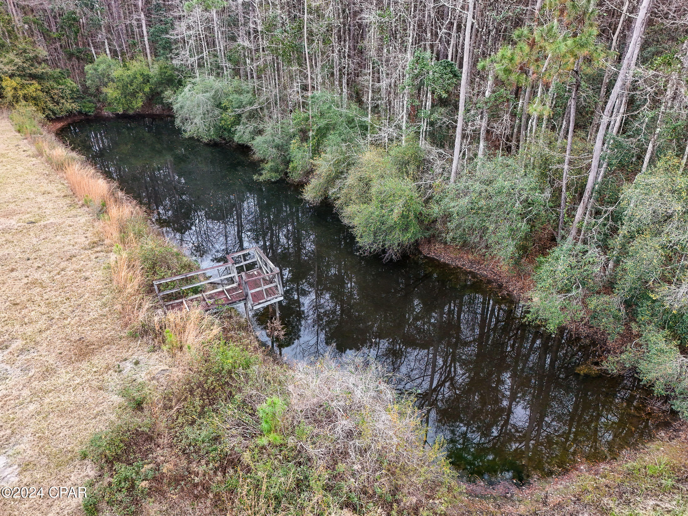3964 Pate Pond Road Vernon, FL 32462 - Photo 26 of 34