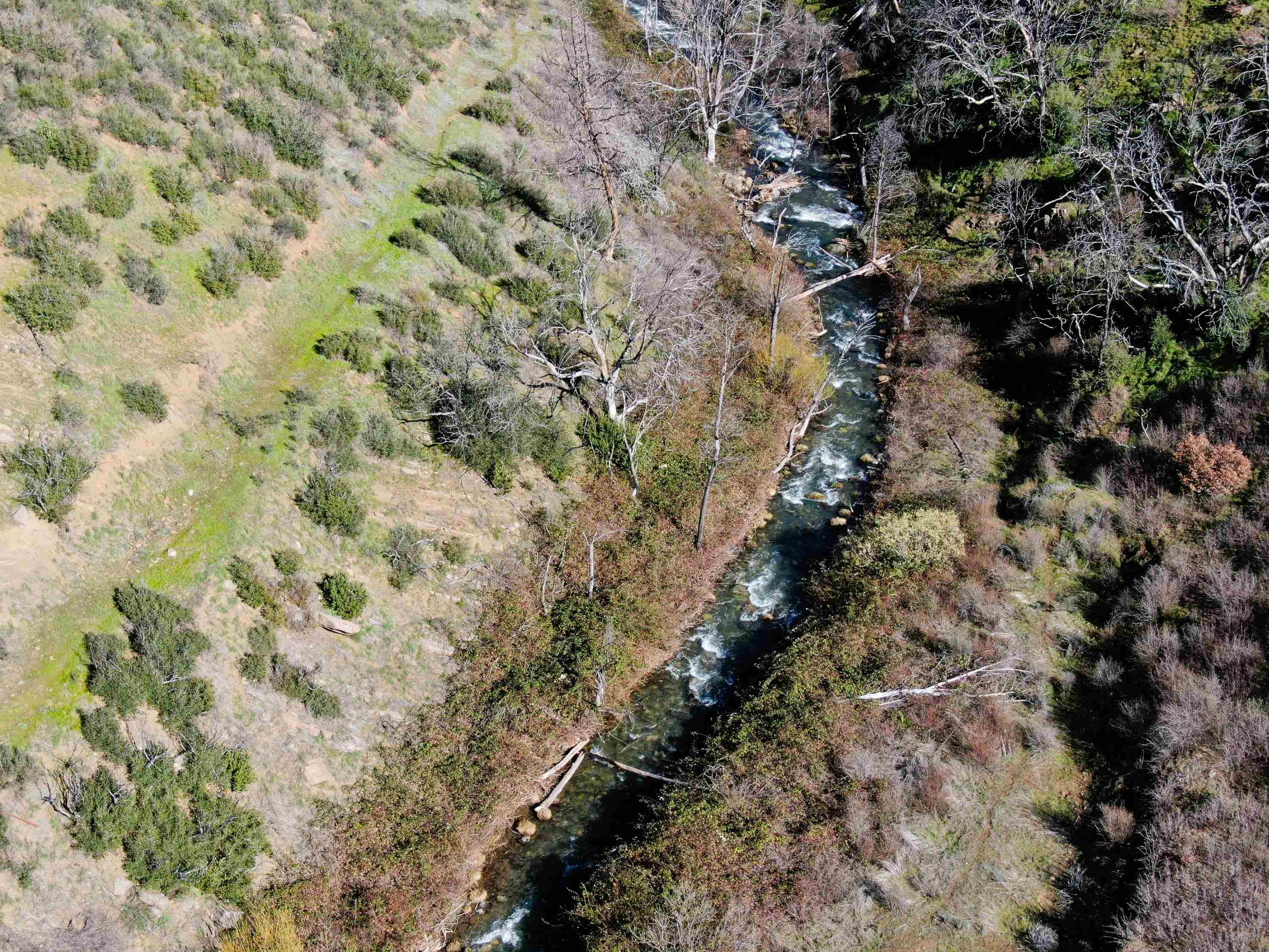 0 Tedoc Road Red Bluff, CA 96080 - Photo 10 of 18