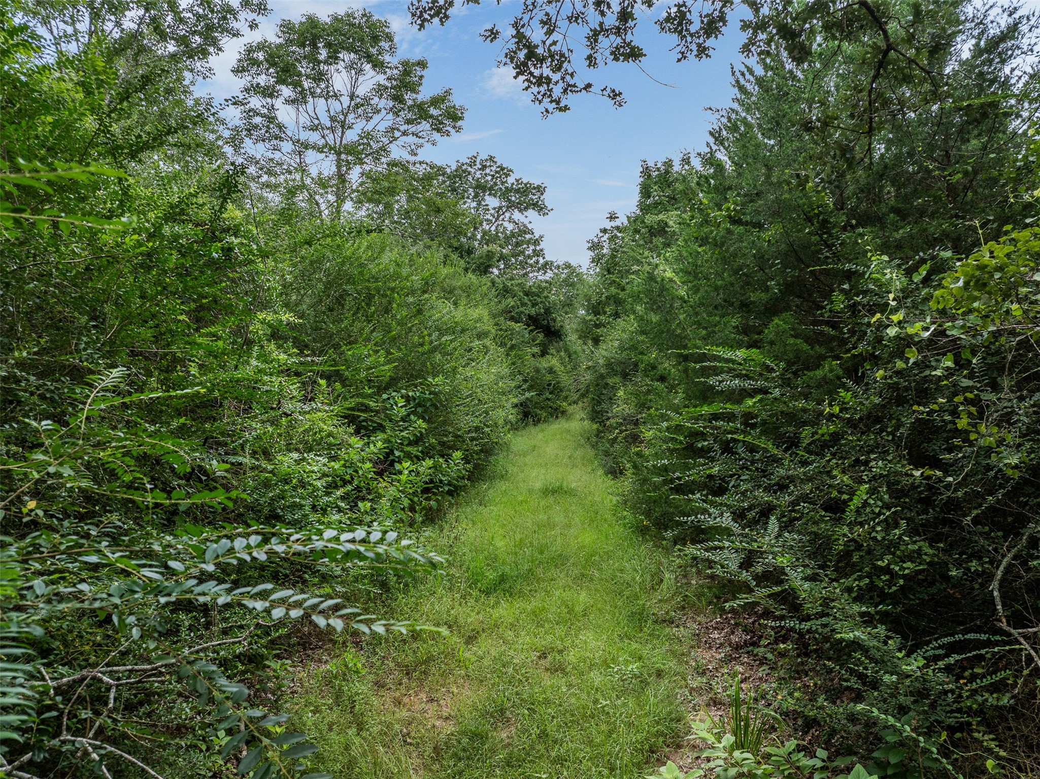 A blank canvas of 10.43 acres ready for your vision!