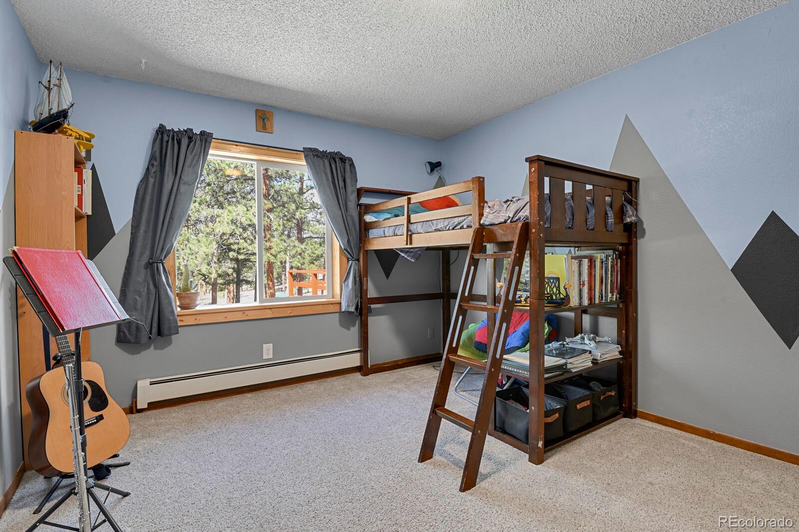 881 Trail Creek Road Lake George, CO 80827 - Photo 19 of 46