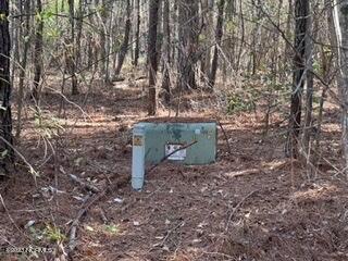 84 Old Jamestown Road Kinston, NC 28504 - Photo 3 of 4 BBE31BD3-C72D-411C-80E4-6BC39E04AD05_4_5