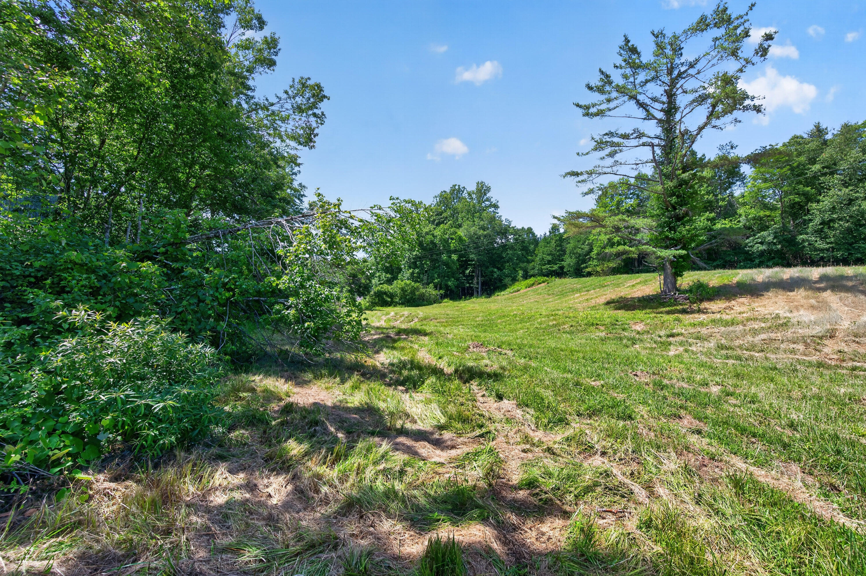 6196 Chances Creek Road Fancy Gap, VA 24328 - Photo 55 of 78 56
