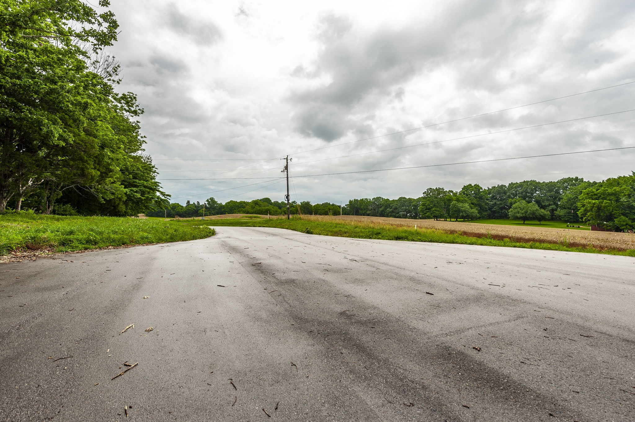1113 East Robertson Road Castalian Springs, TN 37031 - Photo 42 of 56