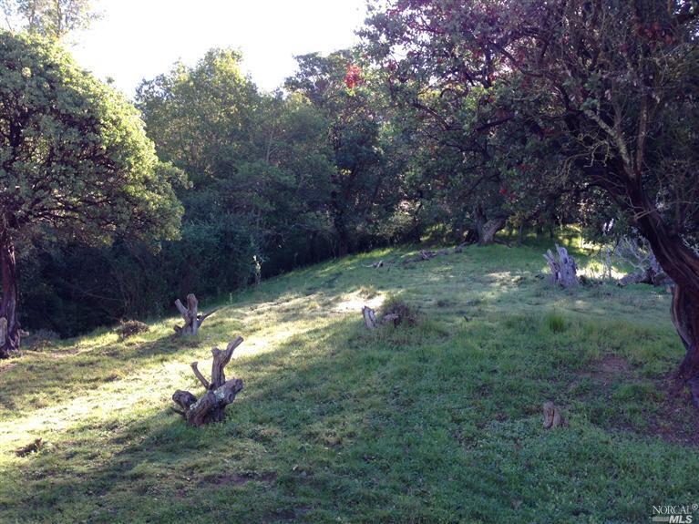 0 Edgehill Way San Rafael, CA 94903 - Photo 1 of 1 a view of a yard with a tree